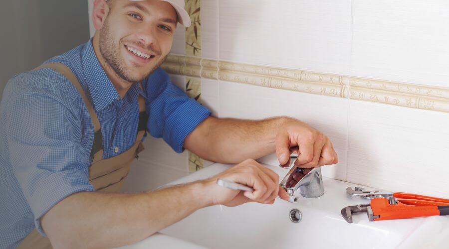 Professional Leak Detection Services services in Larsen, WI